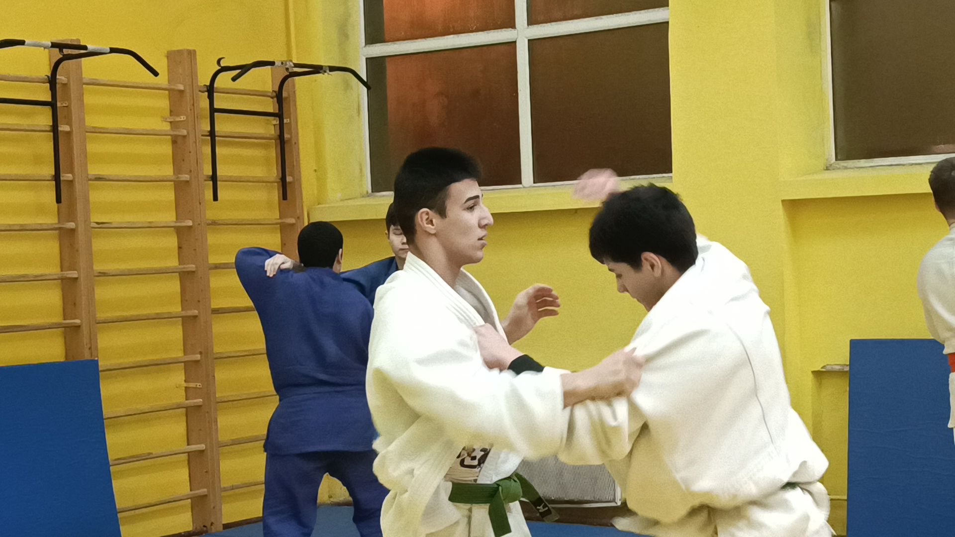 спорт, дзюдо, лобня, вертикалки,