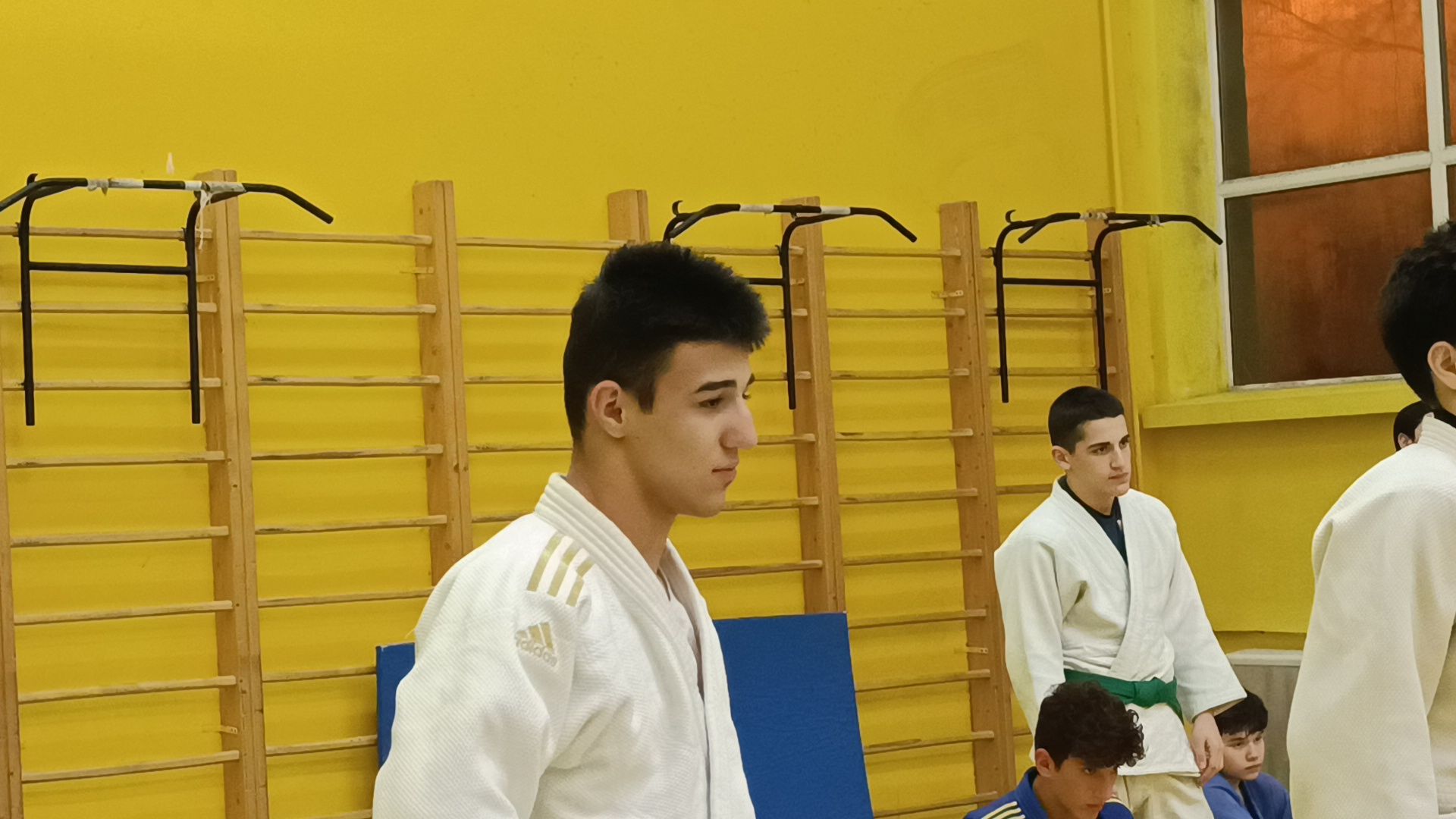 спорт, дзюдо, лобня, вертикалки,