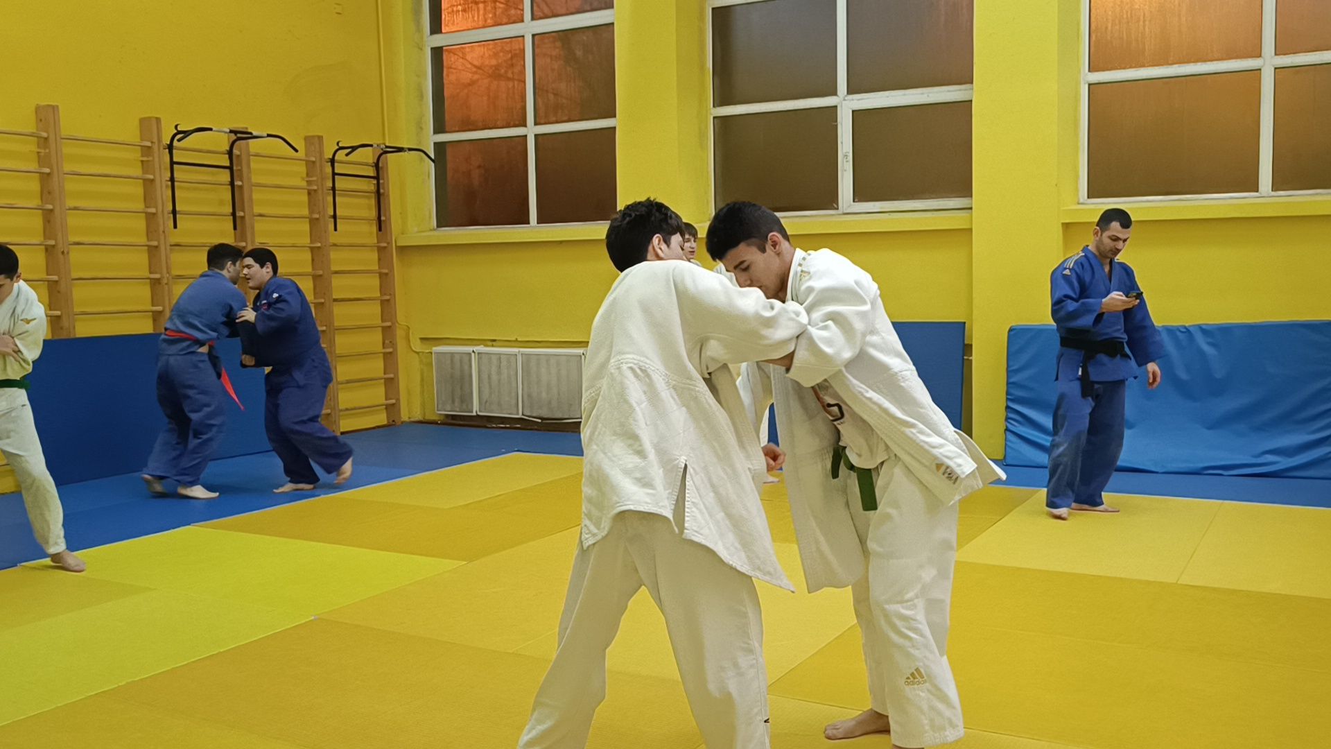 спорт, дзюдо, лобня, вертикалки,