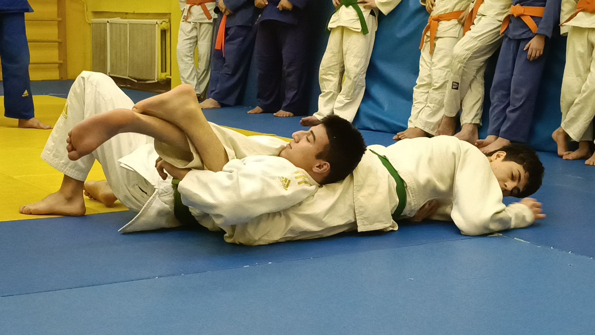 спорт, дзюдо, лобня, вертикалки,