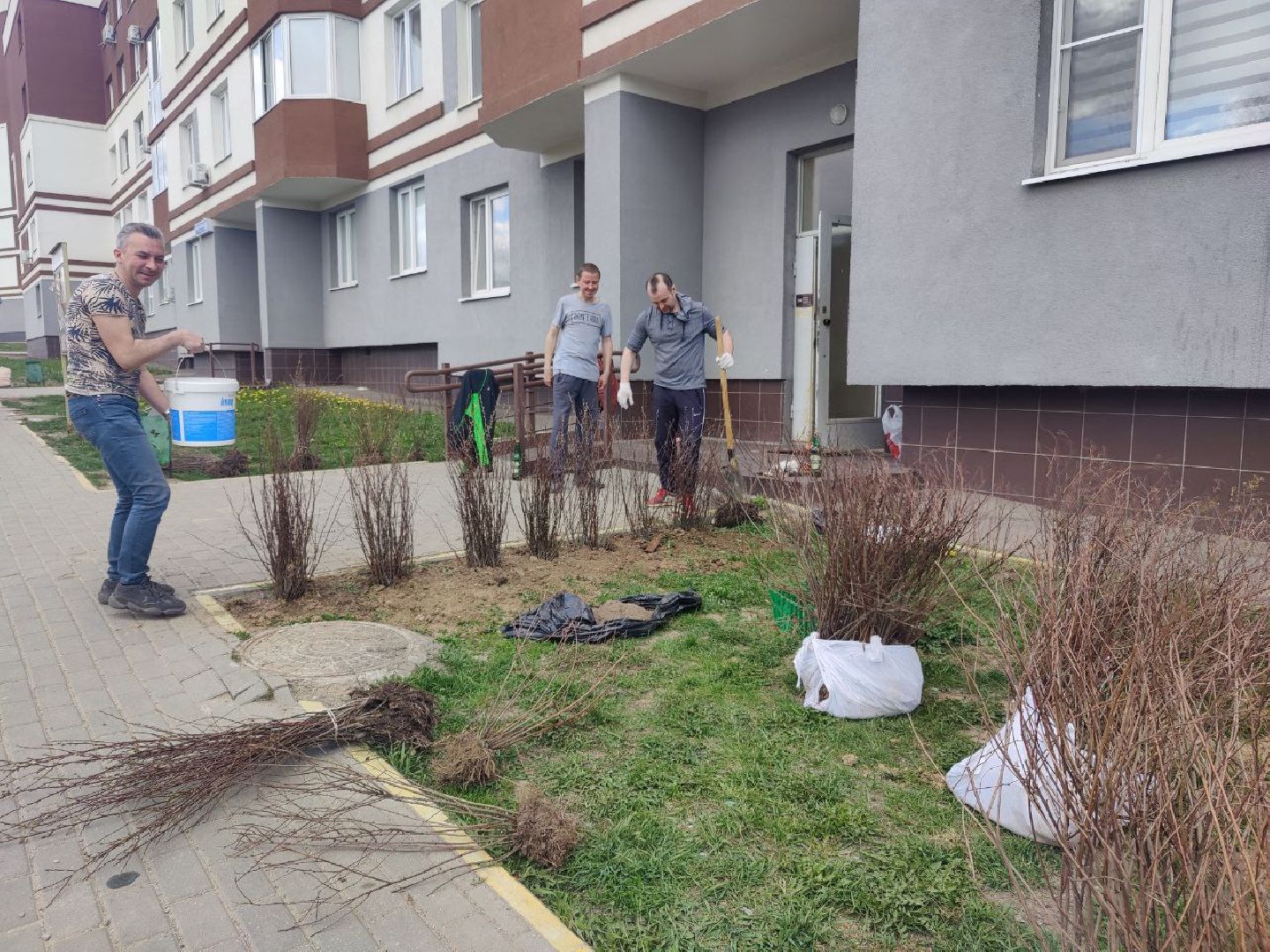 Нахабино, Субботник, ЖК Малина, уборка, деревья