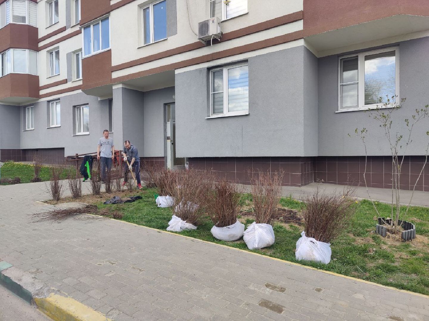 Нахабино, Субботник, ЖК Малина, уборка, деревья