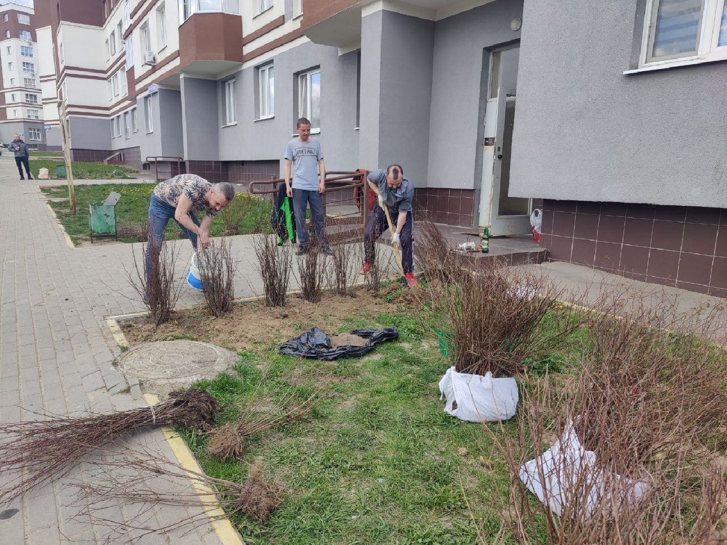 Нахабино, Субботник, ЖК Малина, уборка, деревья
