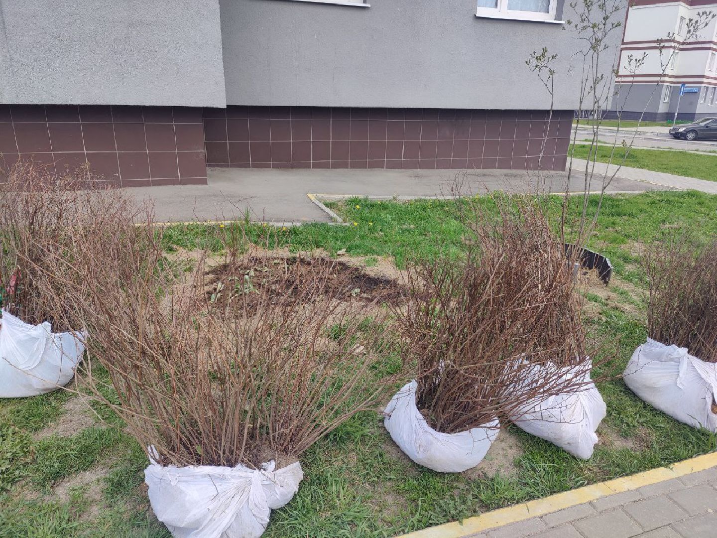 Нахабино, Субботник, ЖК Малина, уборка, деревья