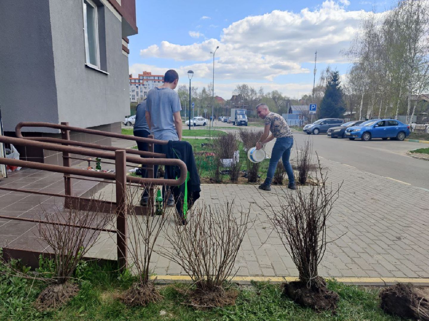 Нахабино, Субботник, ЖК Малина, уборка, деревья