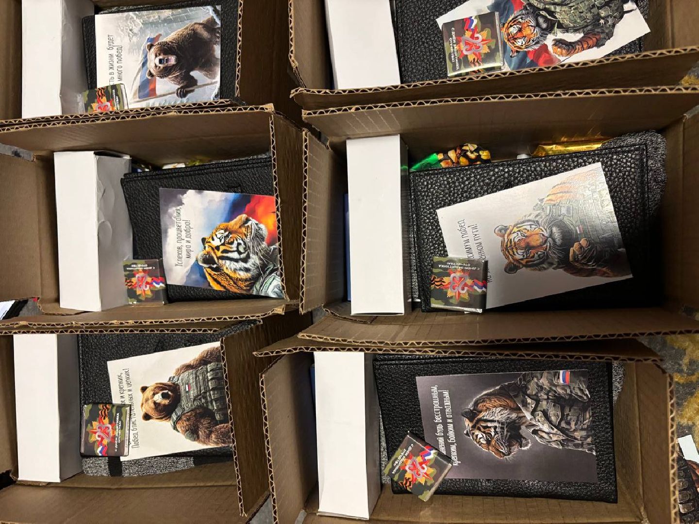 вертикалки, Подольск, вертикалка, сво, волонеры,