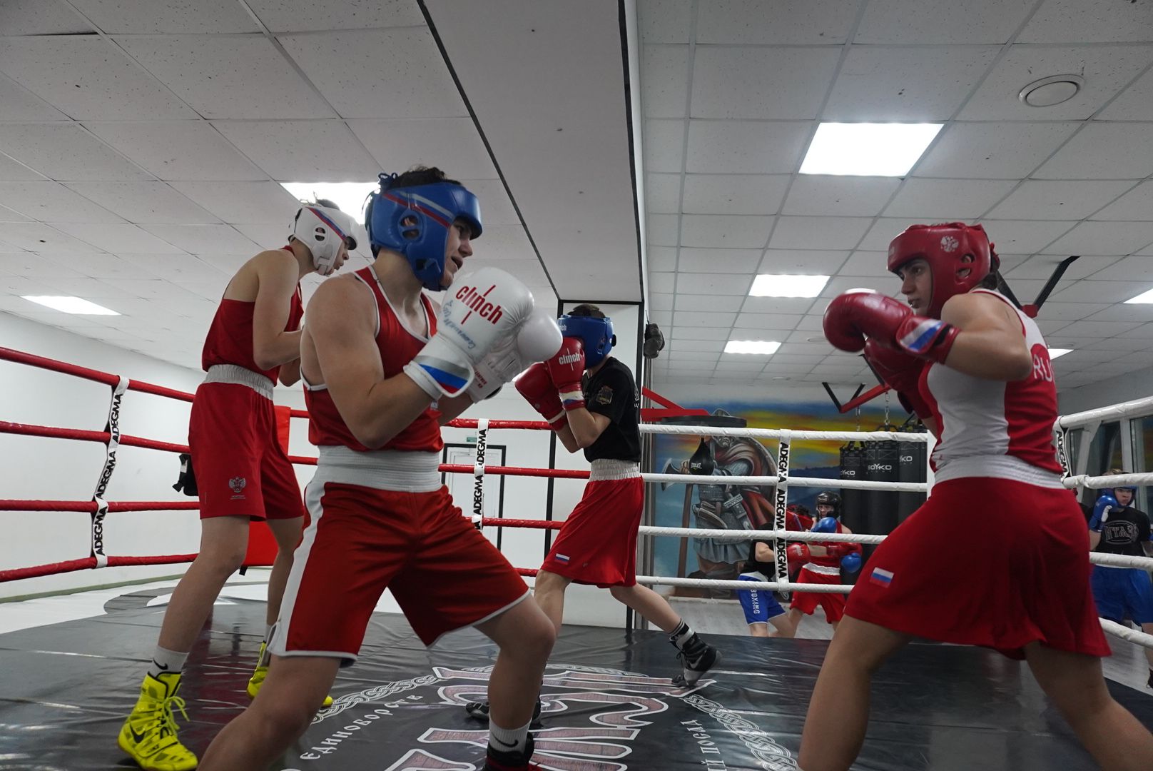 Спорт, вертикалки, Образование, Павловский Посад,