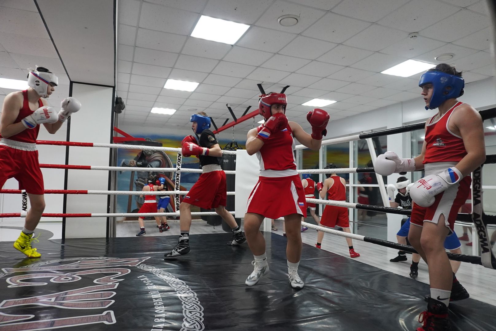 Спорт, вертикалки, Образование, Павловский Посад,