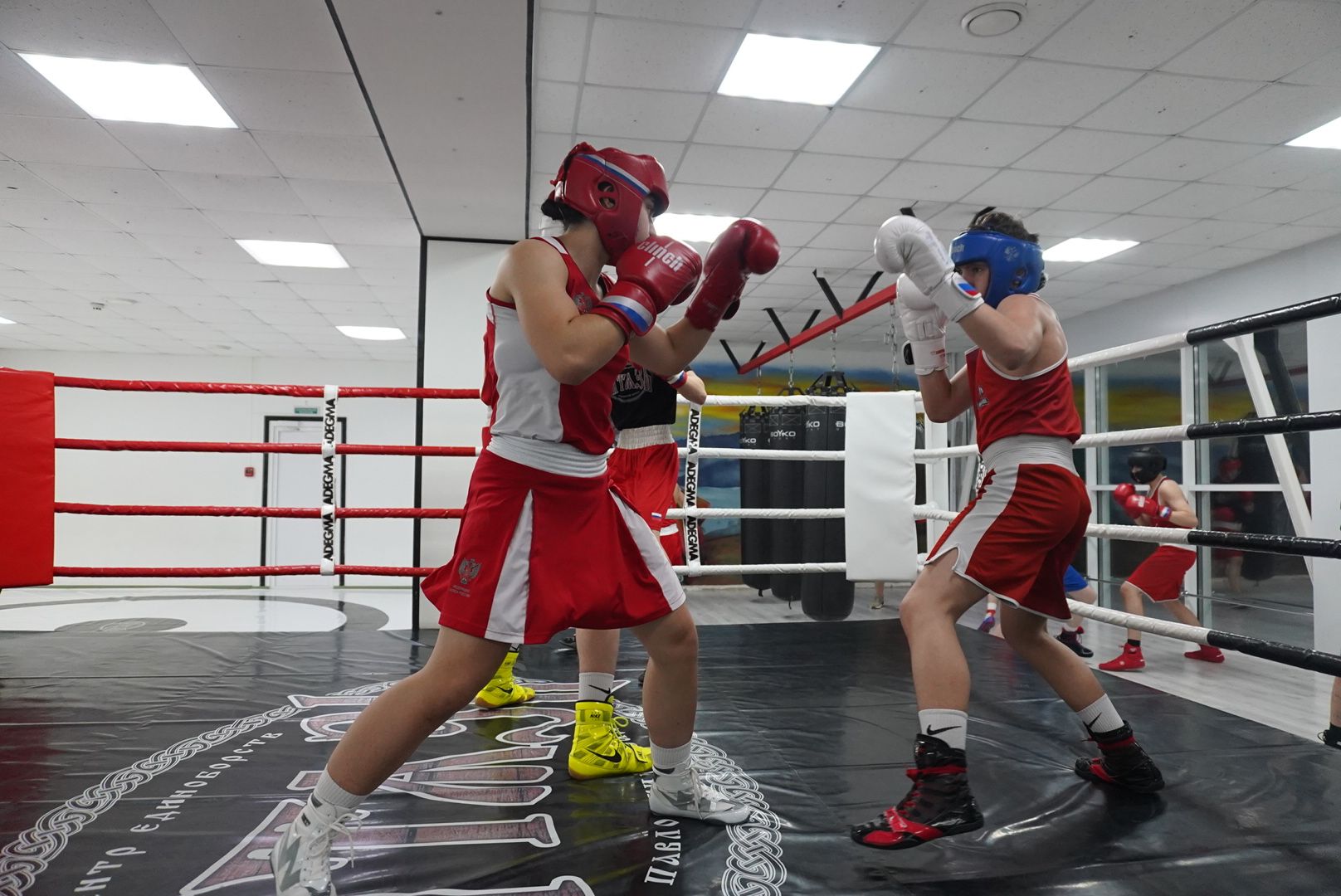 Спорт, вертикалки, Образование, Павловский Посад,