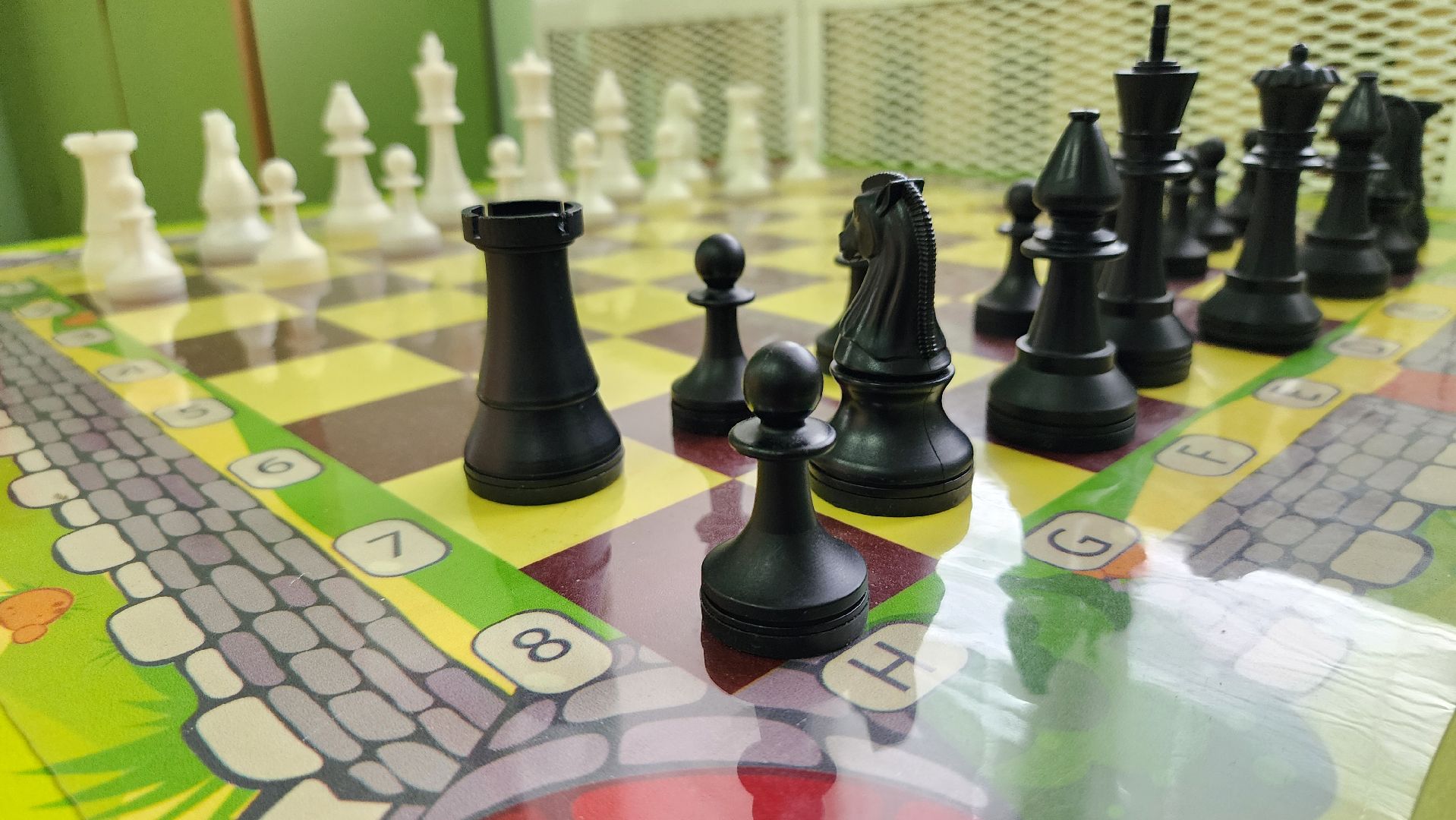 соципотека, меры поддержки, образование, Ногинск, Богородский городской округ,