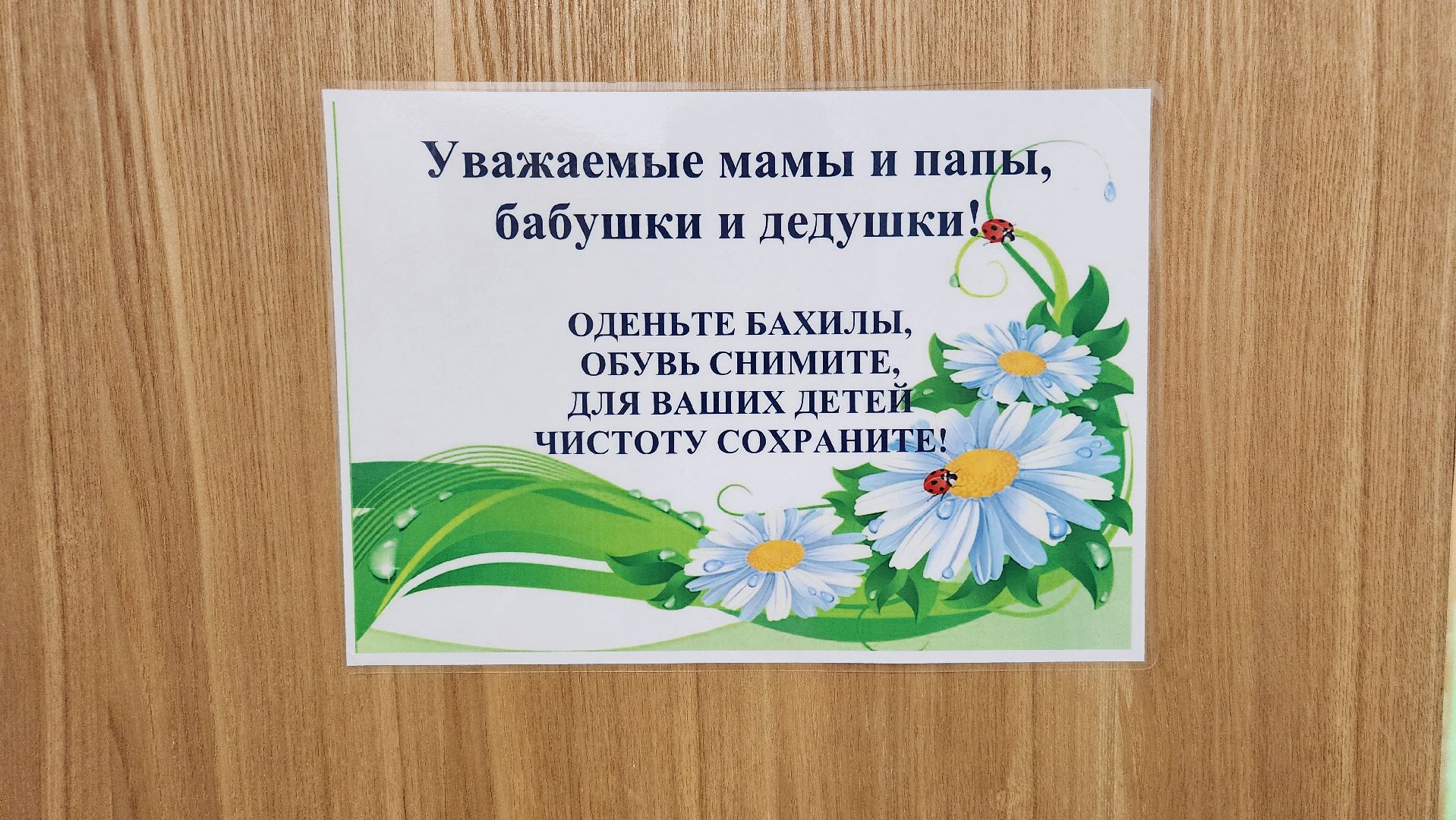 соципотека, меры поддержки, образование, Ногинск, Богородский городской округ,