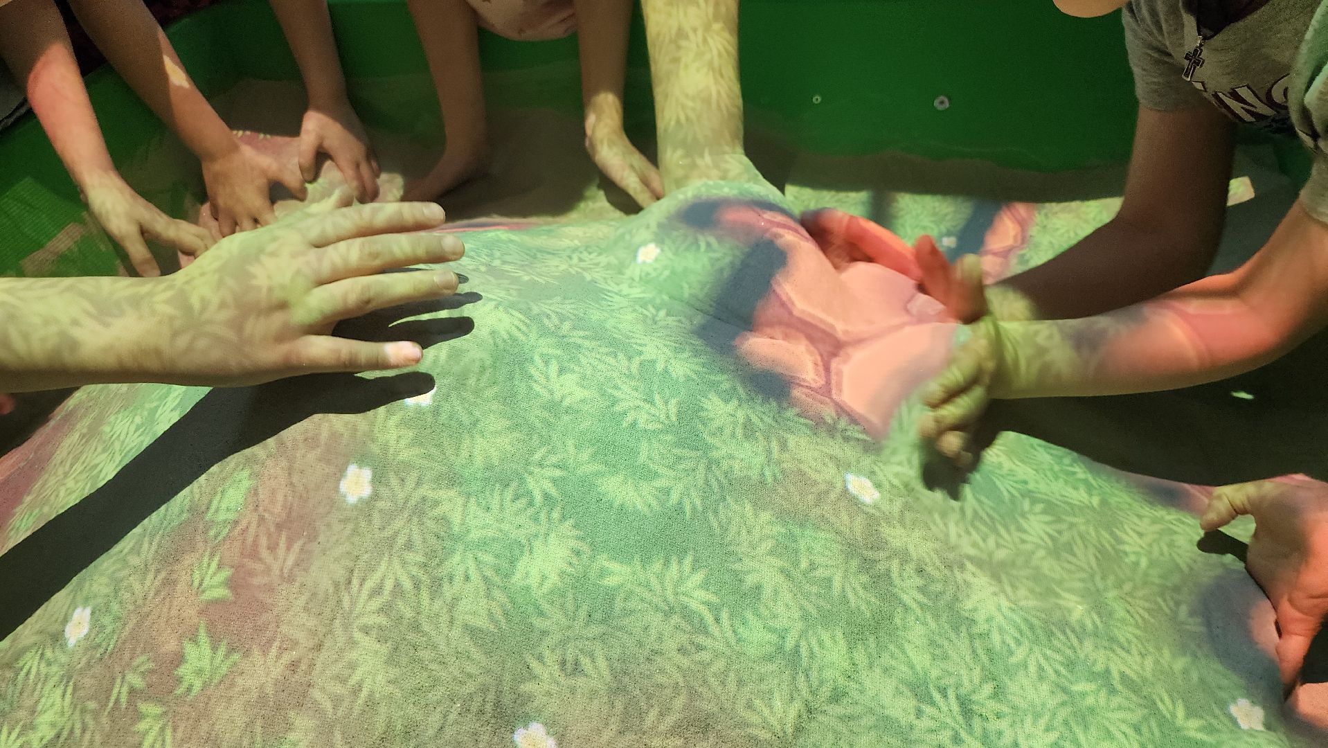 соципотека, меры поддержки, образование, Ногинск, Богородский городской округ,