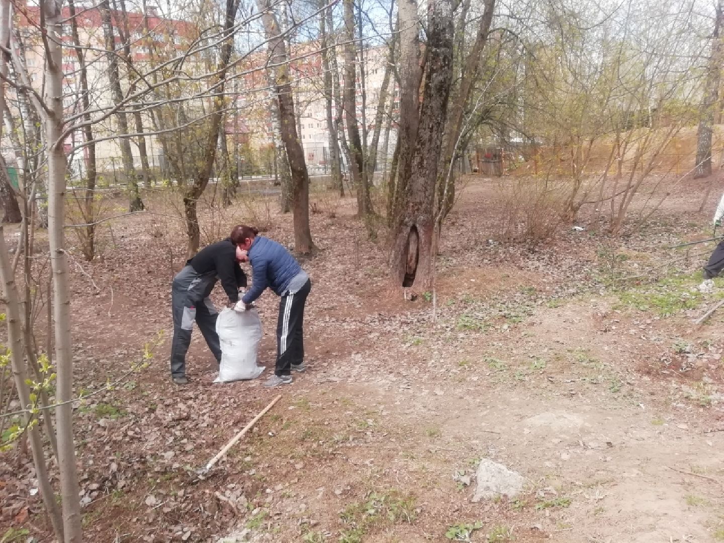 Звенигород, благоустройство, сквер, субботник, придомовые территории