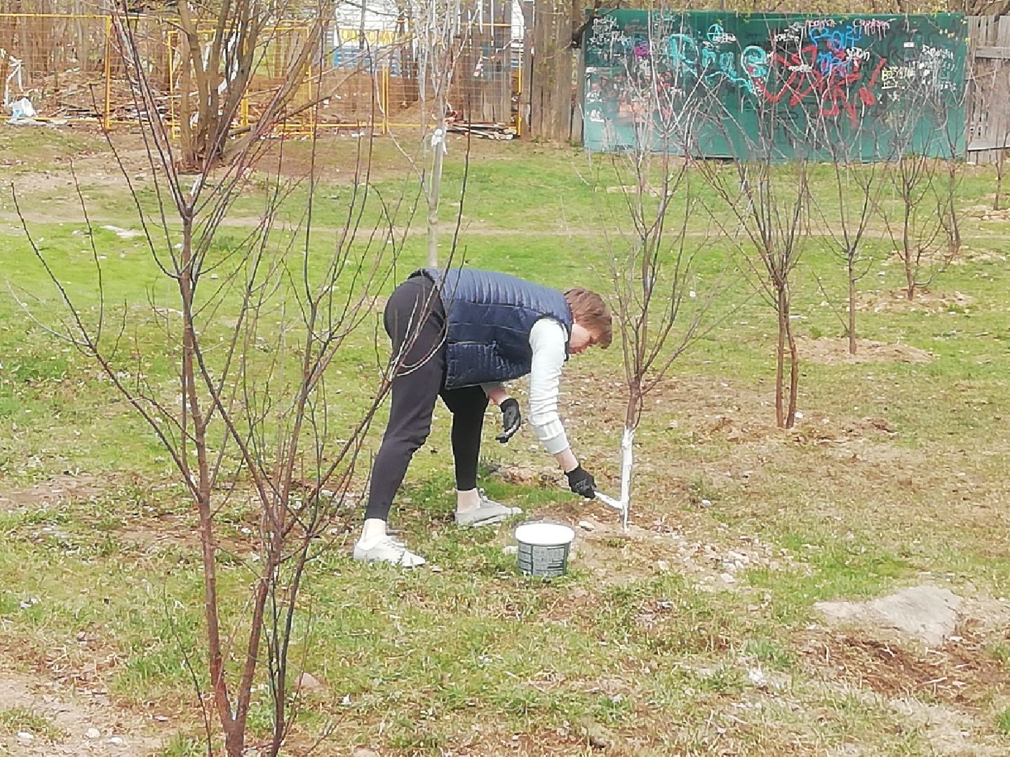 Звенигород, благоустройство, сквер, субботник, придомовые территории