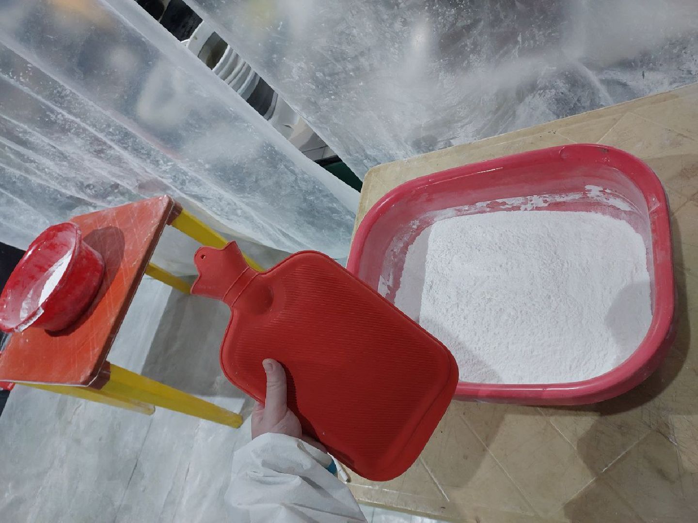 волонтры, птицы, Анапа, Лосино-Петровский, экология,