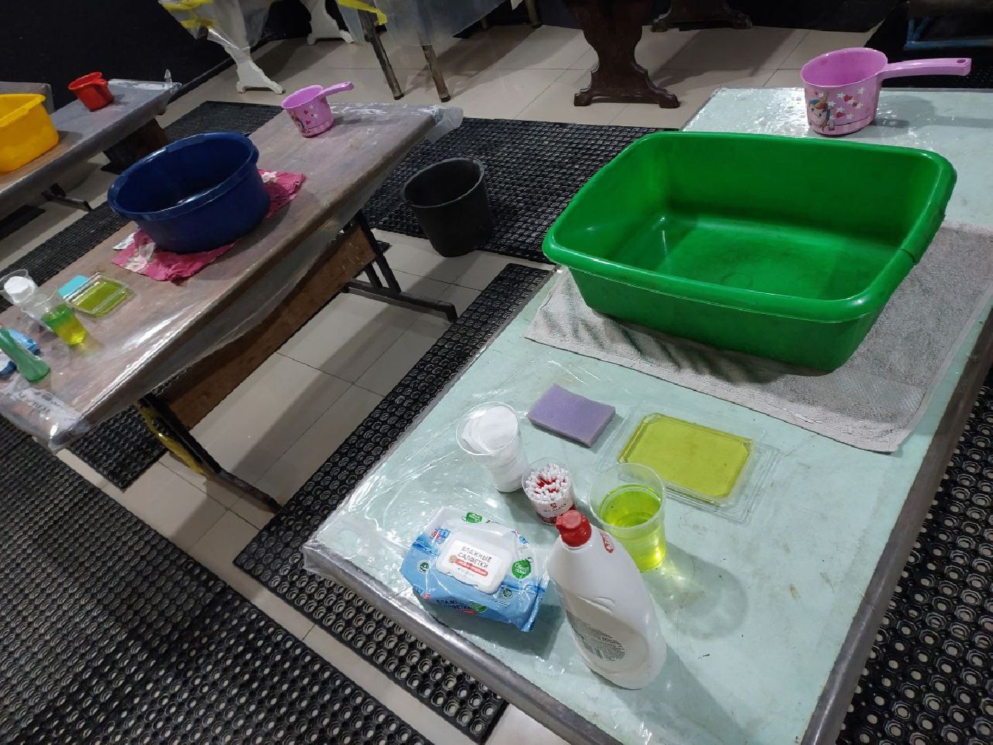 волонтры, птицы, Анапа, Лосино-Петровский, экология,