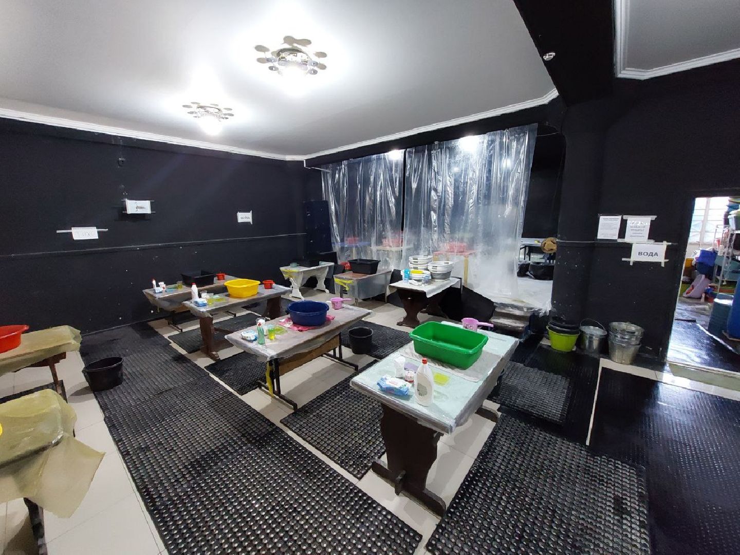 волонтры, птицы, Анапа, Лосино-Петровский, экология,