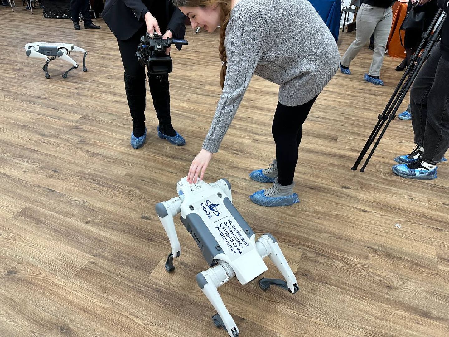 образование, домодедедово, профориентация,