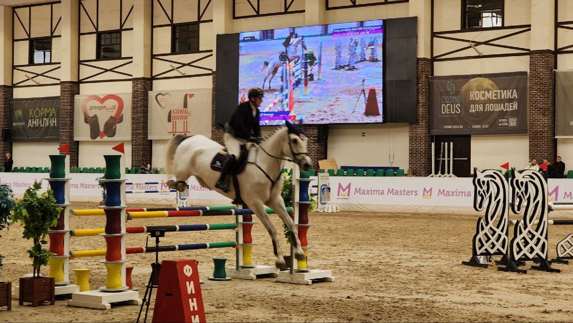 Дмитров, Максима Парк, Кубок по конкуру, вертикалки,