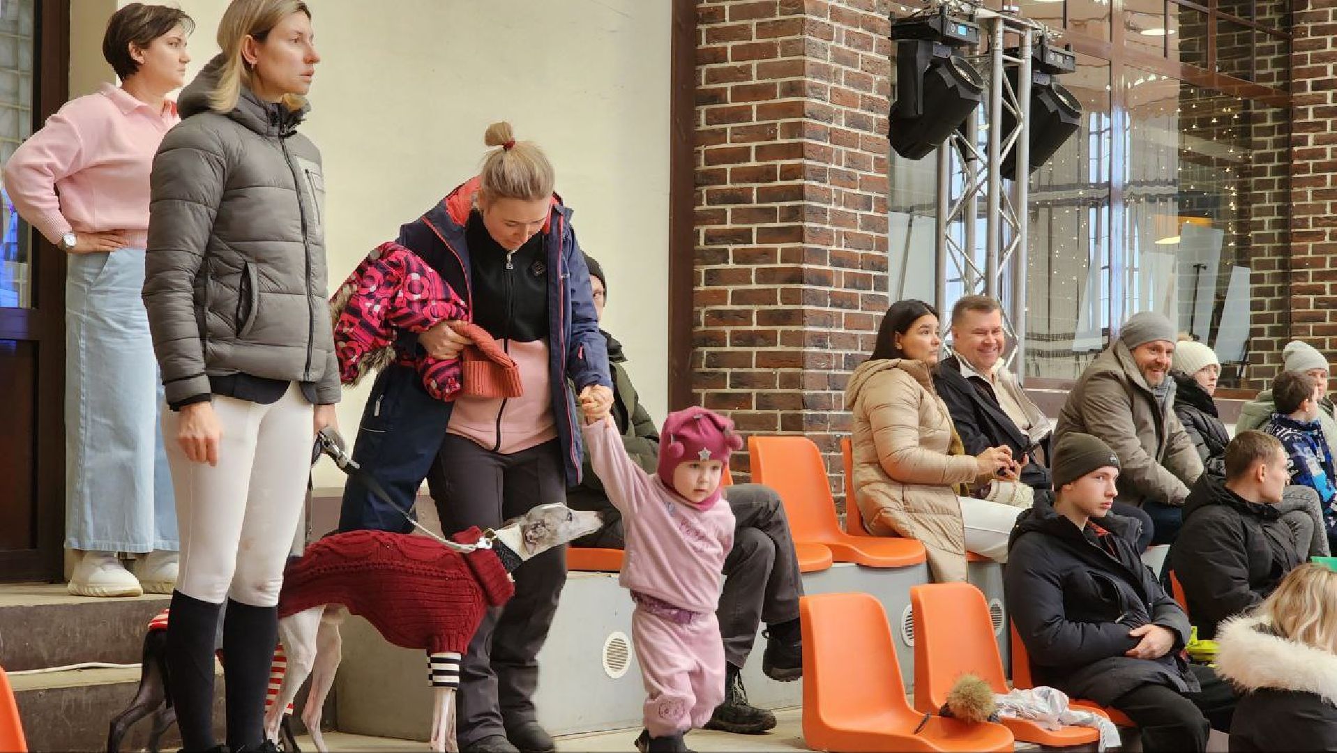 Дмитров, Максима Парк, Кубок по конкуру, вертикалки,