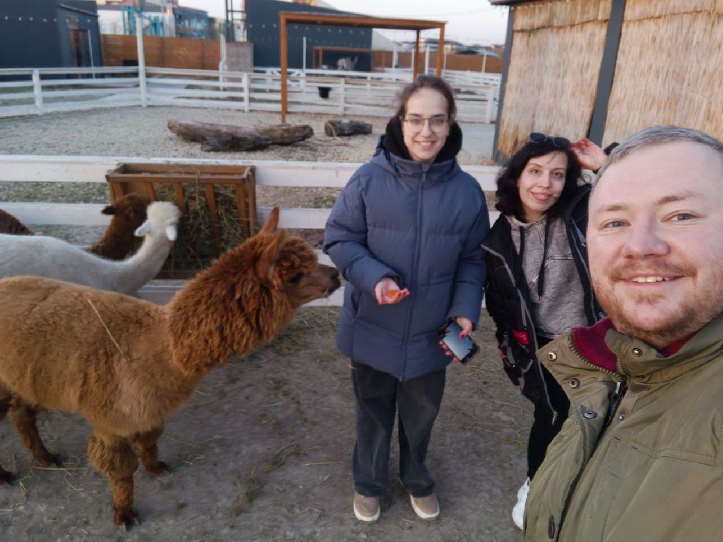 волонтеры Подмосковья, Подмосковье, Лосино-Петровский, Анапа, вертикалки,
