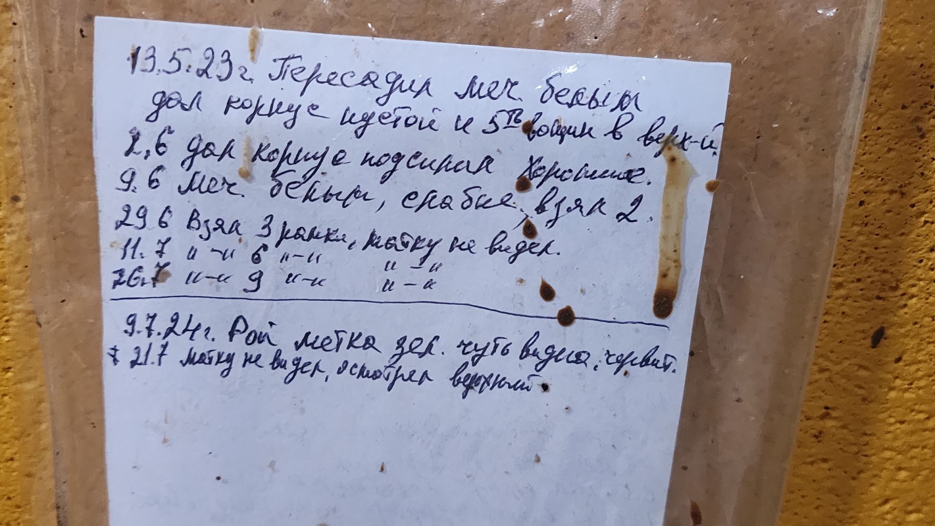 волоколамск, Зобово, помощь сво, помощь своим,