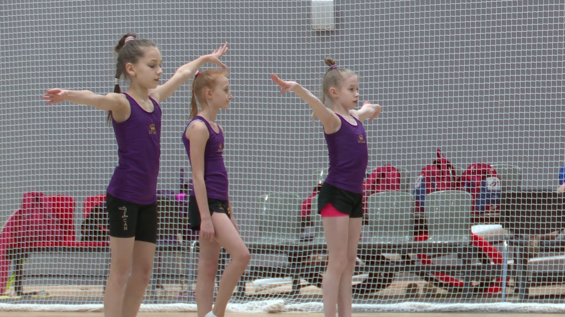 реутов, вертикалки, спорт, новый фок, художественная гимнастика,