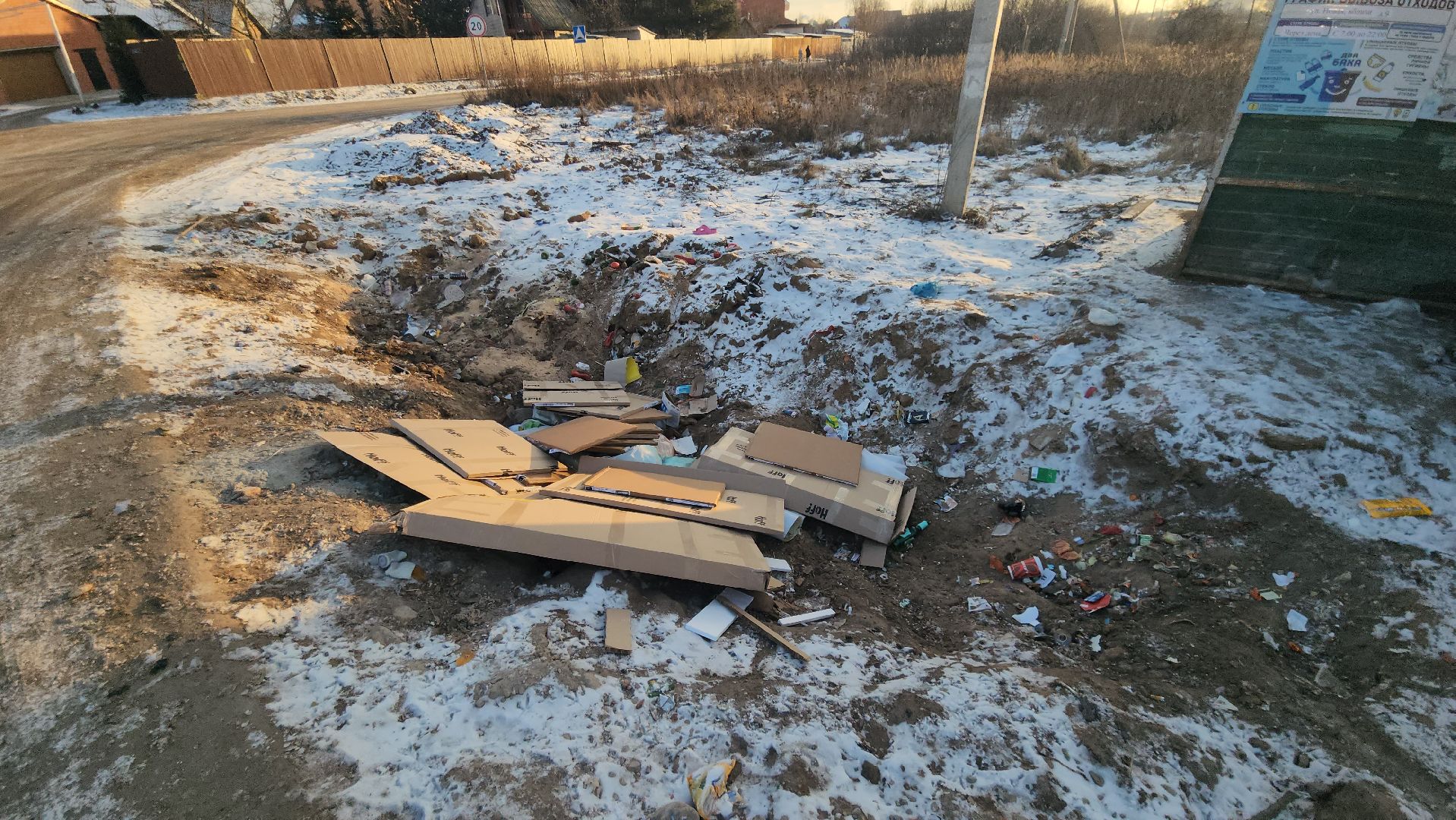 Люберцы, глава городского округа люберцы владимир волков, выездная администиация, контейнерная площадка,