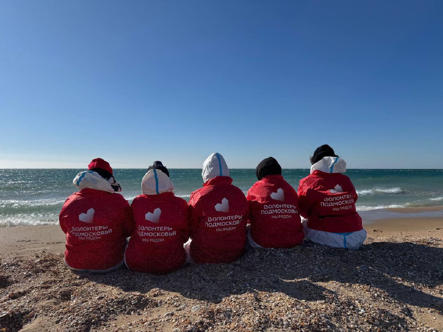 можайск, можайский муниципальный округ, подмосковье, волонтеры подмосковья, черноморское побережье, разлив мазута, анапа,