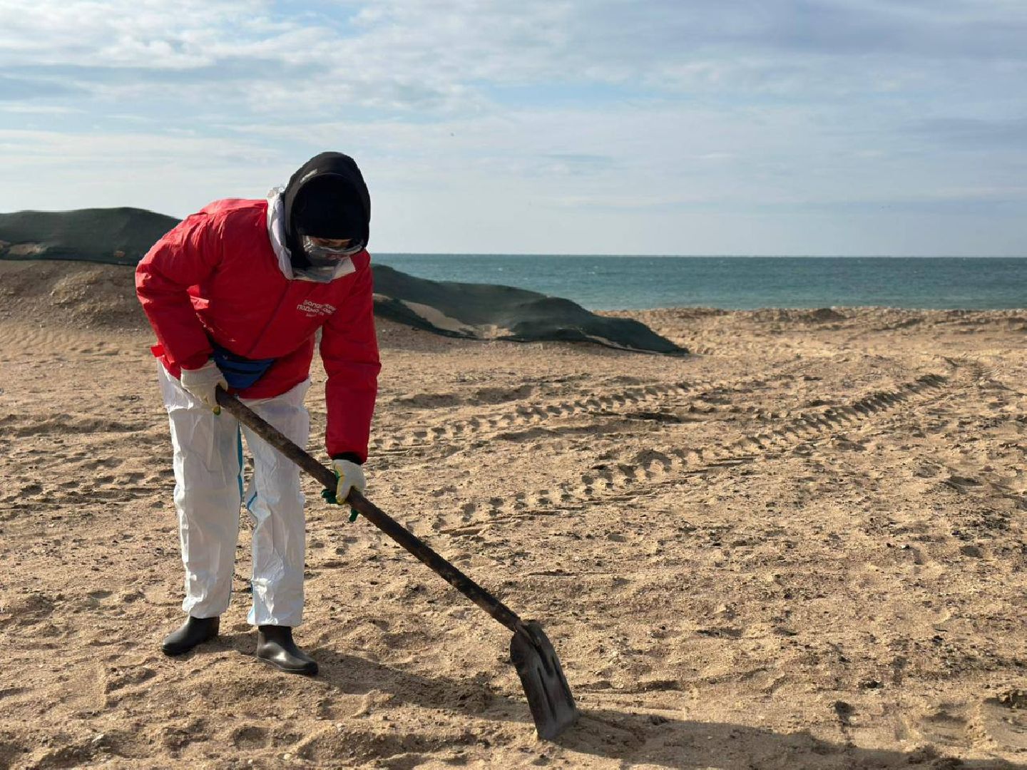 можайск, можайский муниципальный округ, подмосковье, волонтеры подмосковья, черноморское побережье, разлив мазута, анапа,