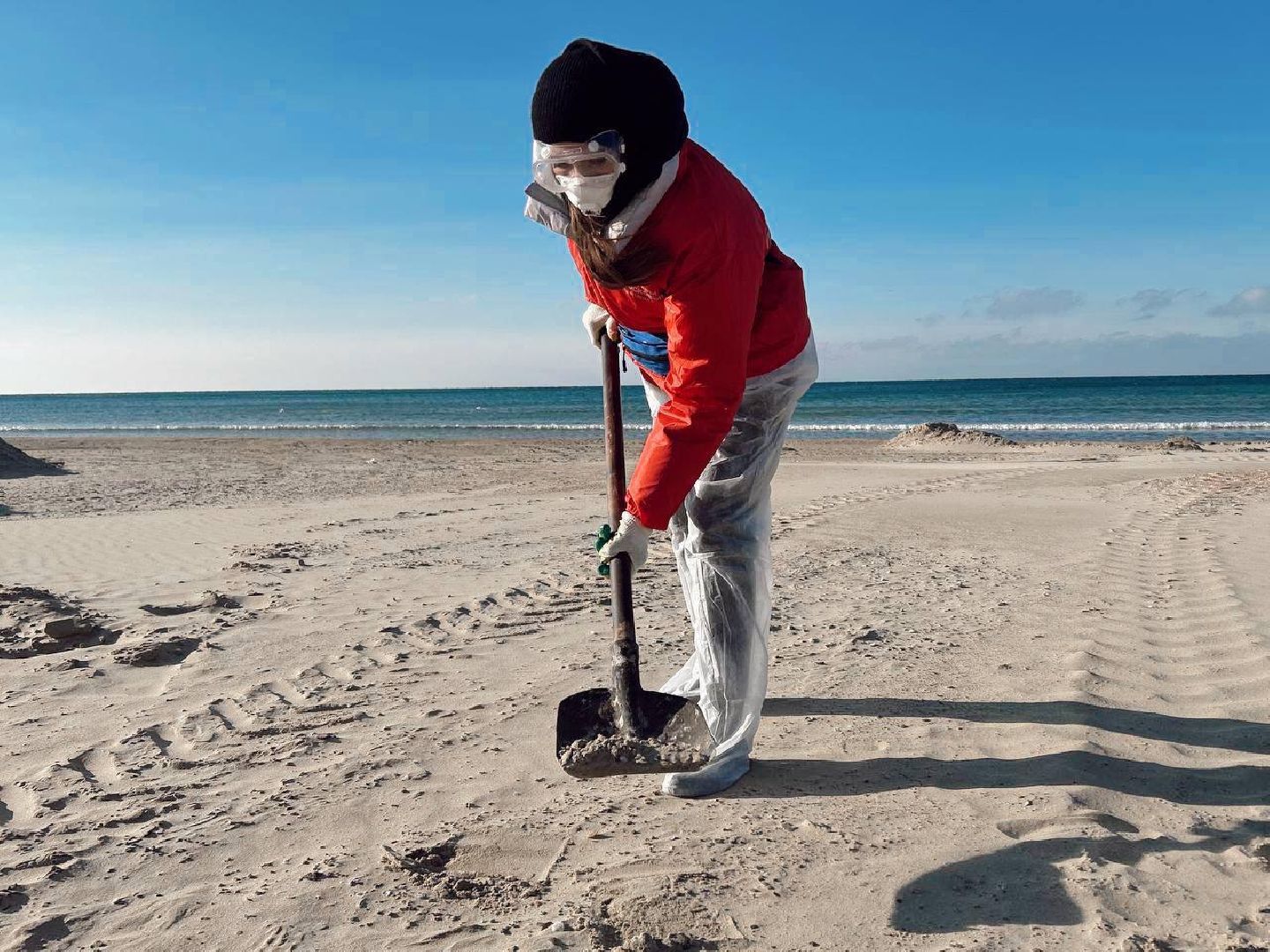 можайск, можайский муниципальный округ, подмосковье, волонтеры подмосковья, черноморское побережье, разлив мазута, анапа,