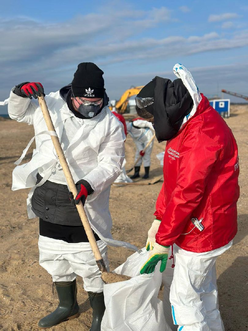 можайск, можайский муниципальный округ, подмосковье, волонтеры подмосковья, черноморское побережье, разлив мазута, анапа,