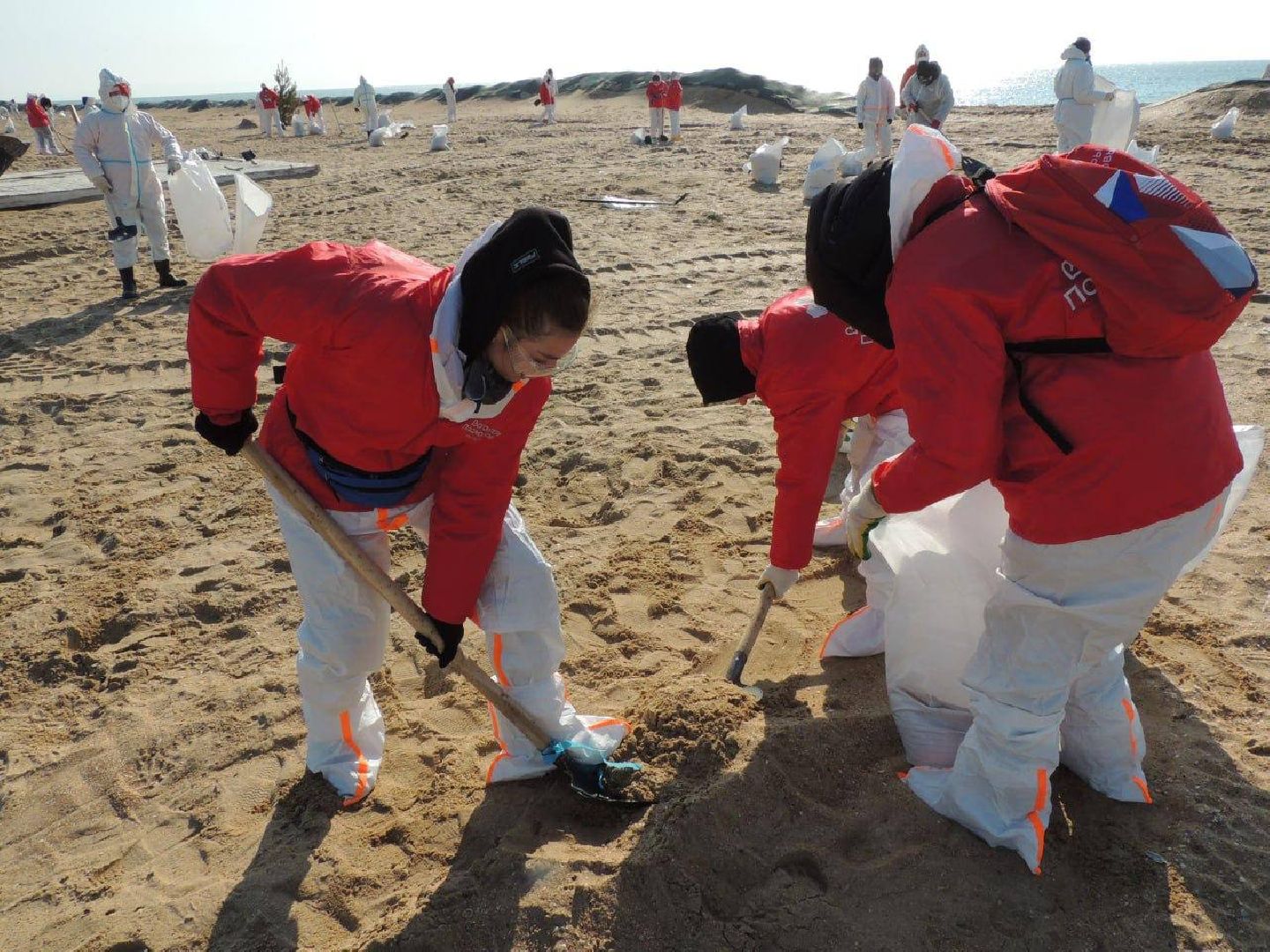 можайск, можайский муниципальный округ, подмосковье, волонтеры подмосковья, черноморское побережье, разлив мазута, анапа,