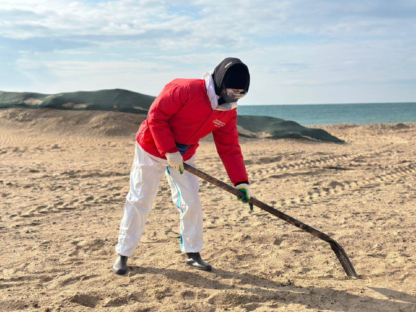 можайск, можайский муниципальный округ, подмосковье, волонтеры подмосковья, черноморское побережье, разлив мазута, анапа,