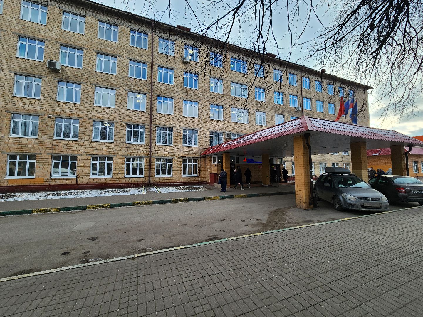 подольск, аллерголог, Аллергия,вертикалки,