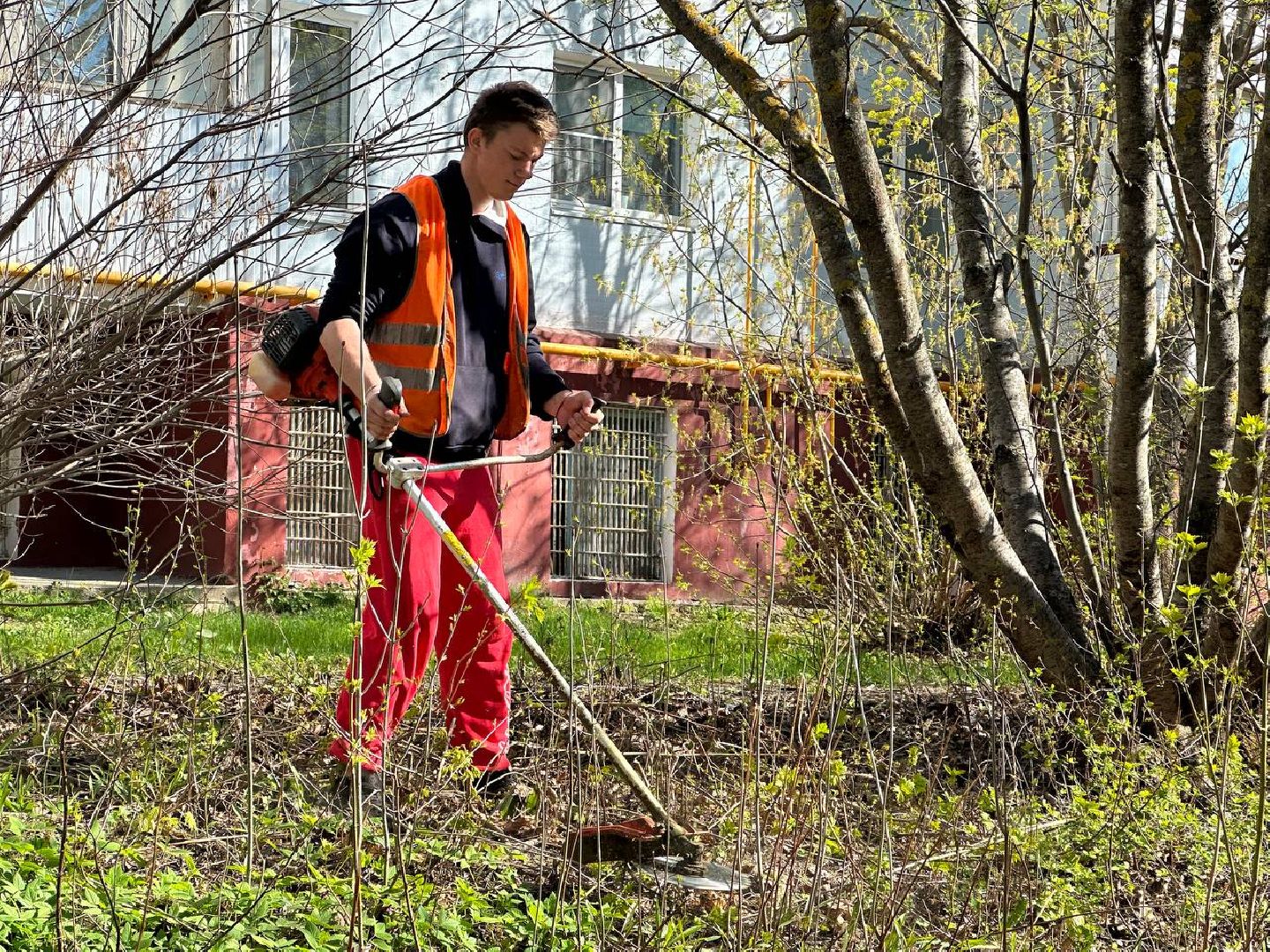 Можайск, Можайский городской округ, Подмосковье, субботник, областной субботник, жители, уборка территории