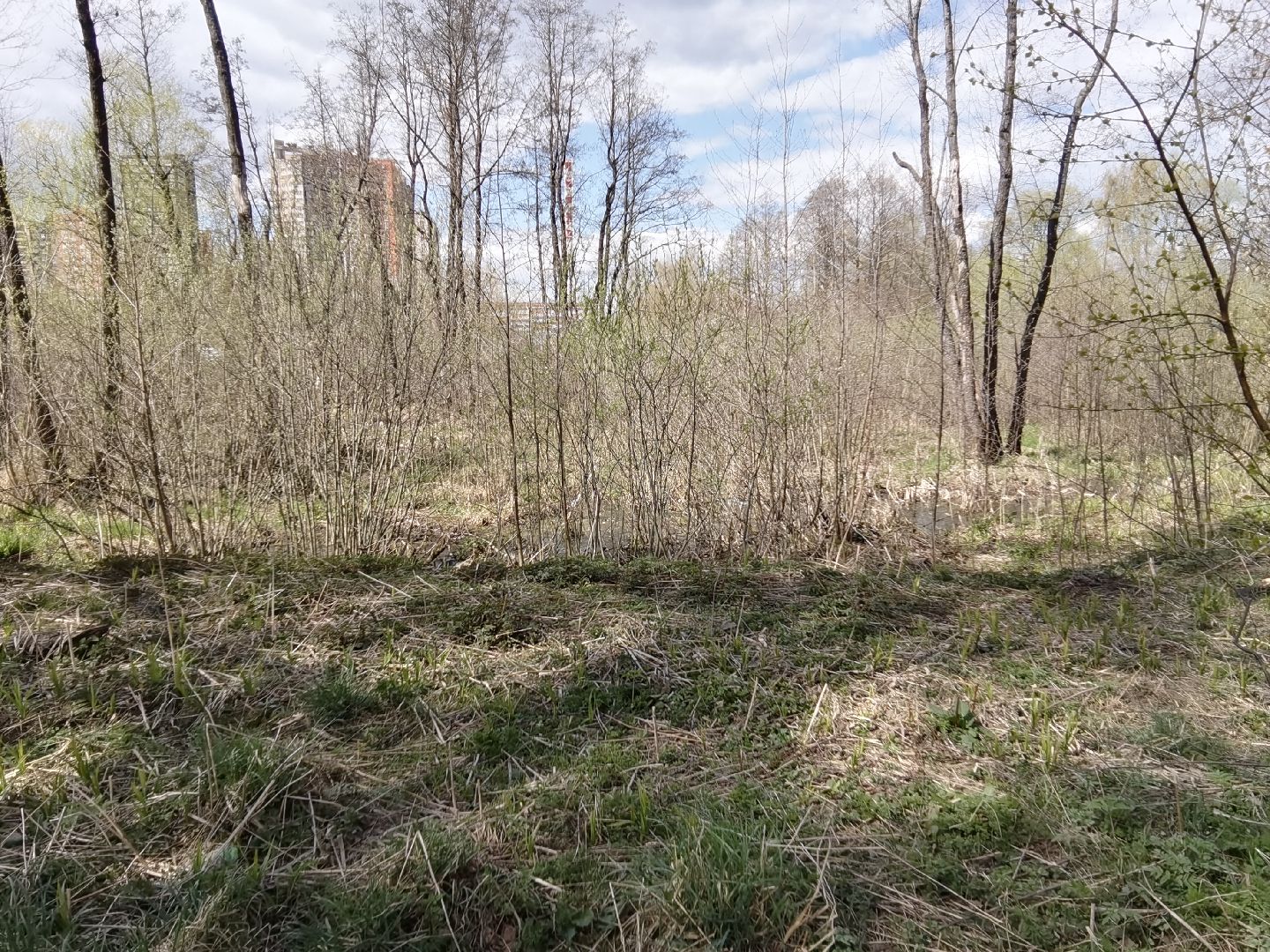 Балашиха, река Малашка, Вода России, уборка, субботник, Управление экологии и природопользования, депутаты, волонтёры, активные жители