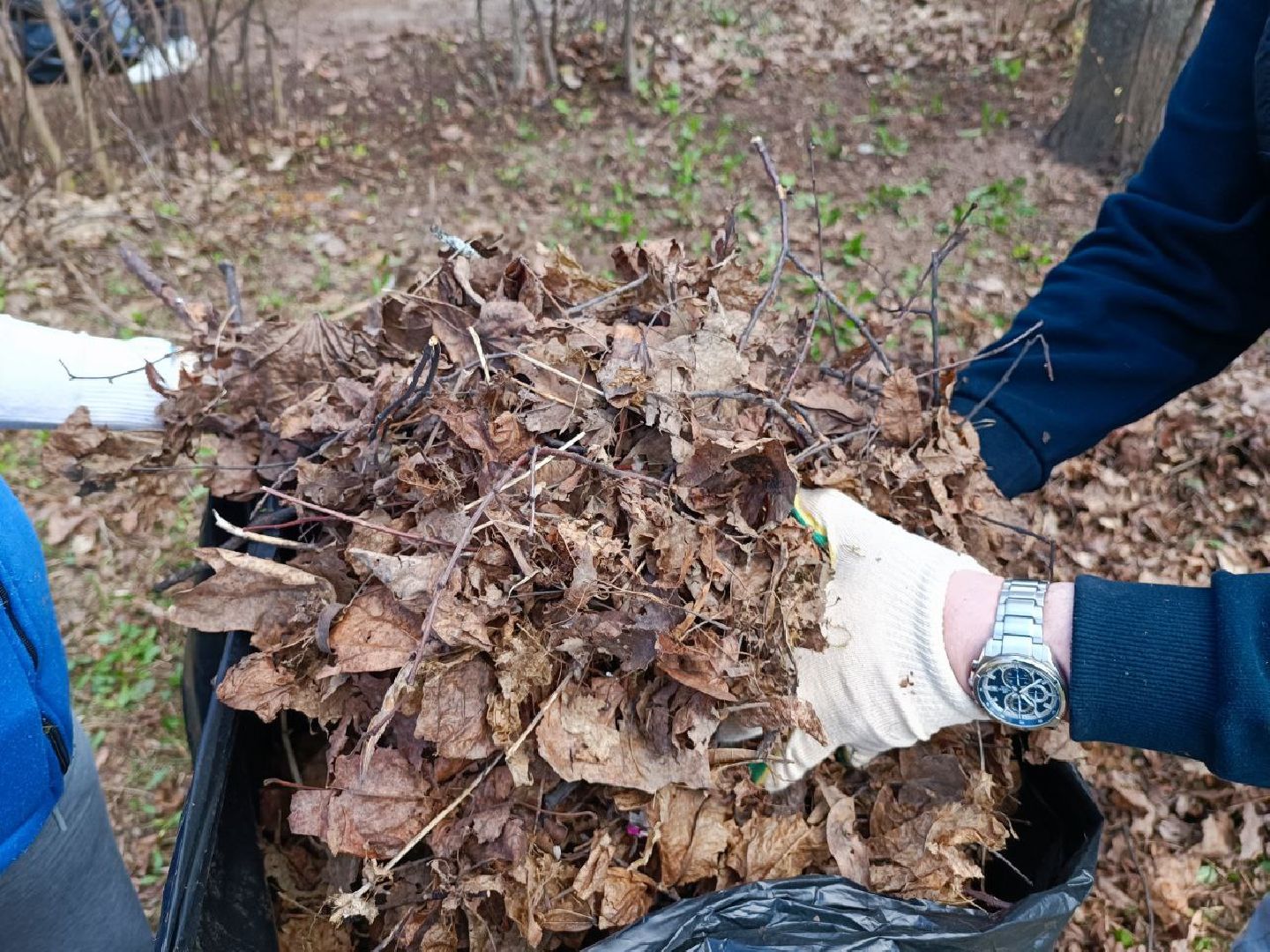 Можайск, Можайский городской округ, Подмосковье, субботник, областной субботник, жители, уборка территории