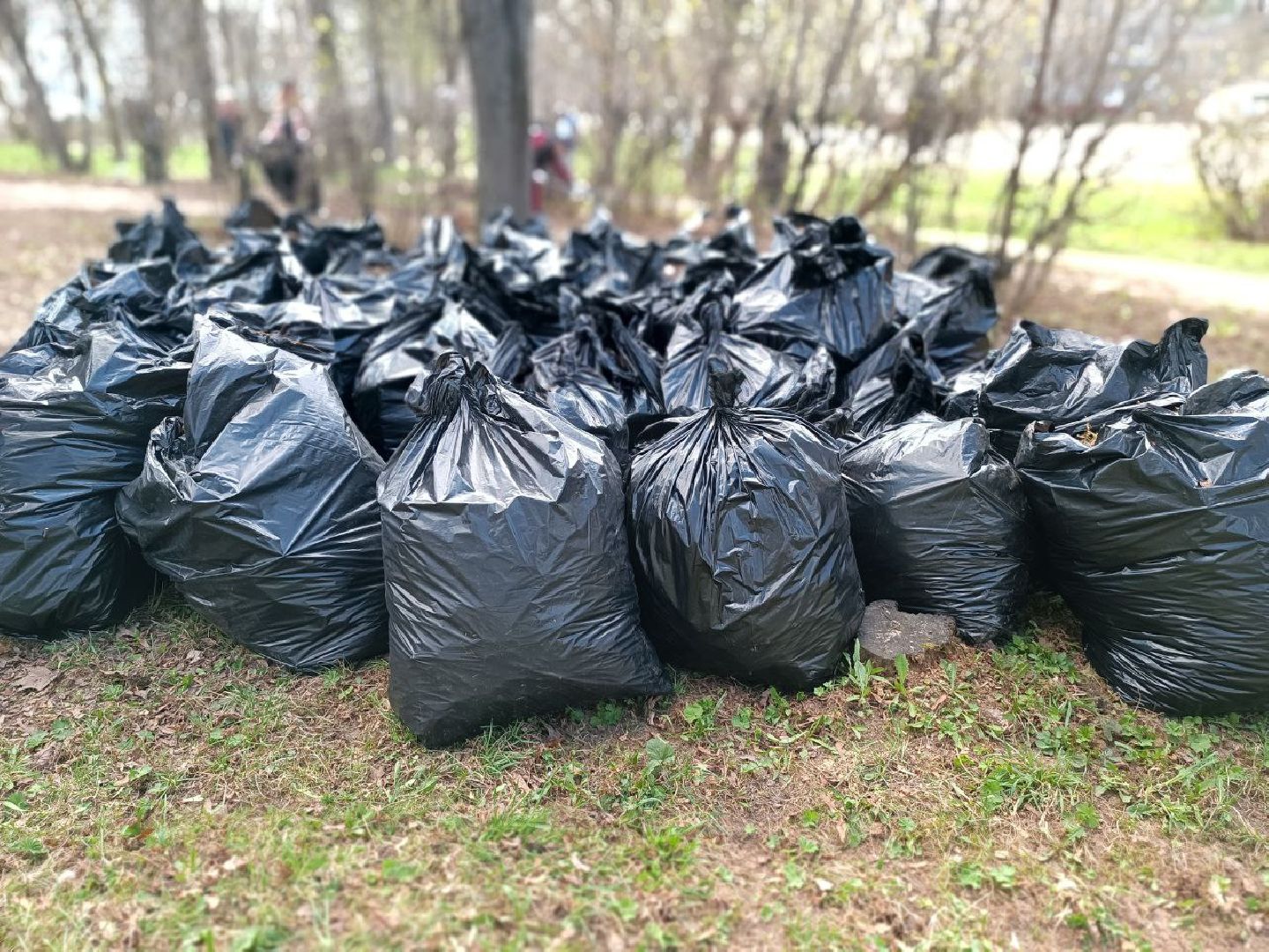 Можайск, Можайский городской округ, Подмосковье, субботник, областной субботник, жители, уборка территории