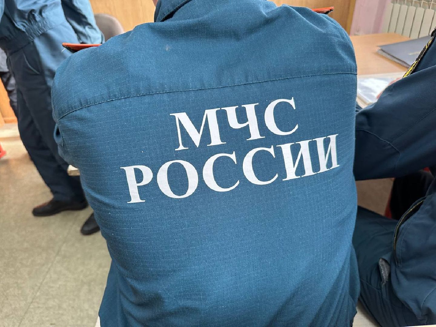 домодедедово, мчс, московия, студент,