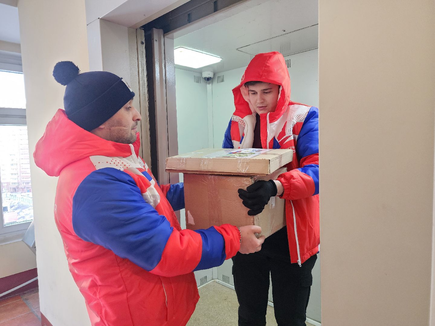 подольск, волонтеры, вертикалки,