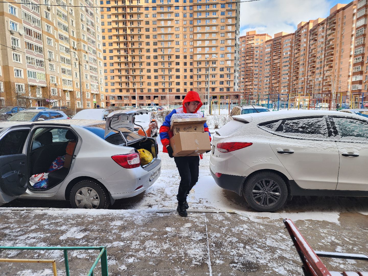 подольск, волонтеры, вертикалки,