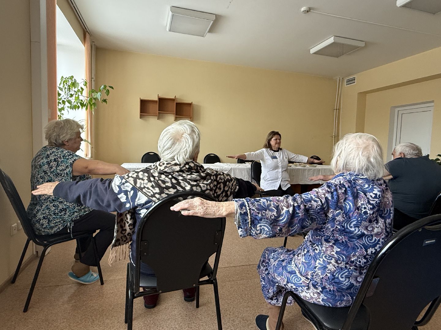 гериатрия, профилактика заболеваний, вертикалки,