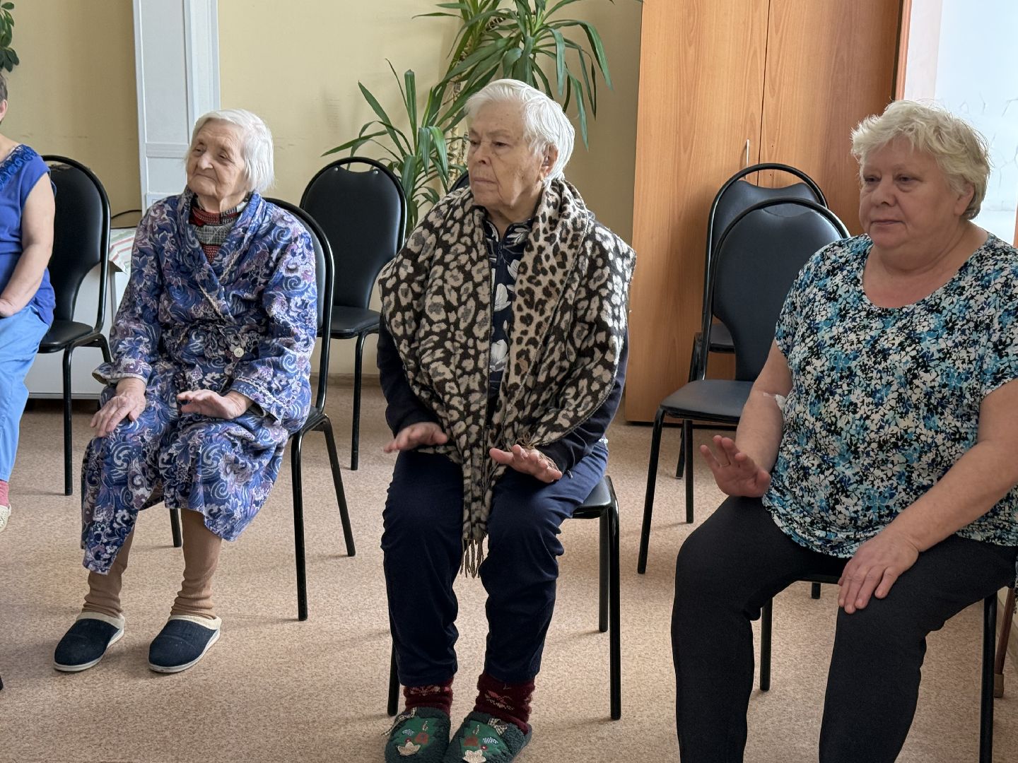 гериатрия, профилактика заболеваний, вертикалки,