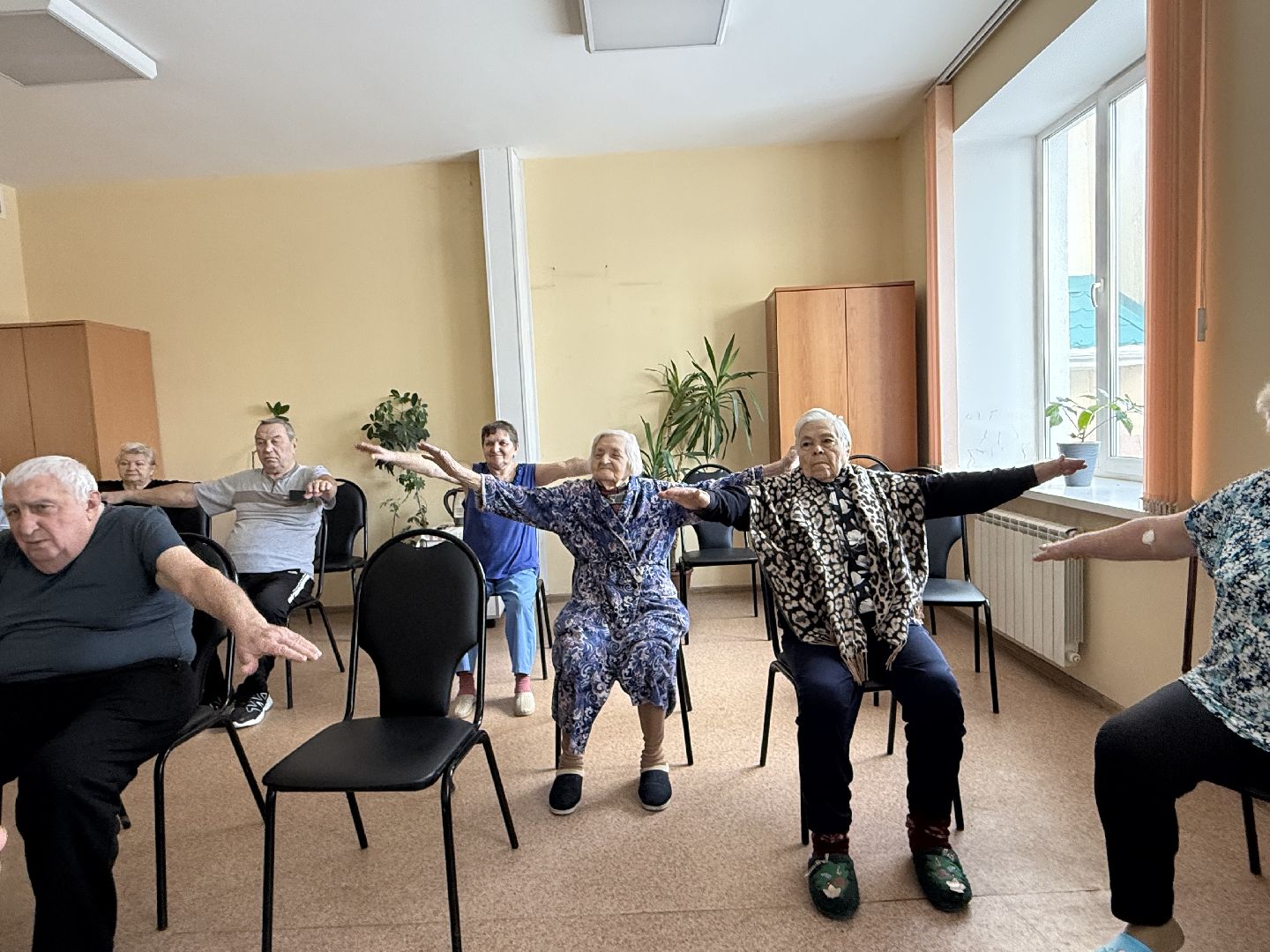 гериатрия, профилактика заболеваний, вертикалки,