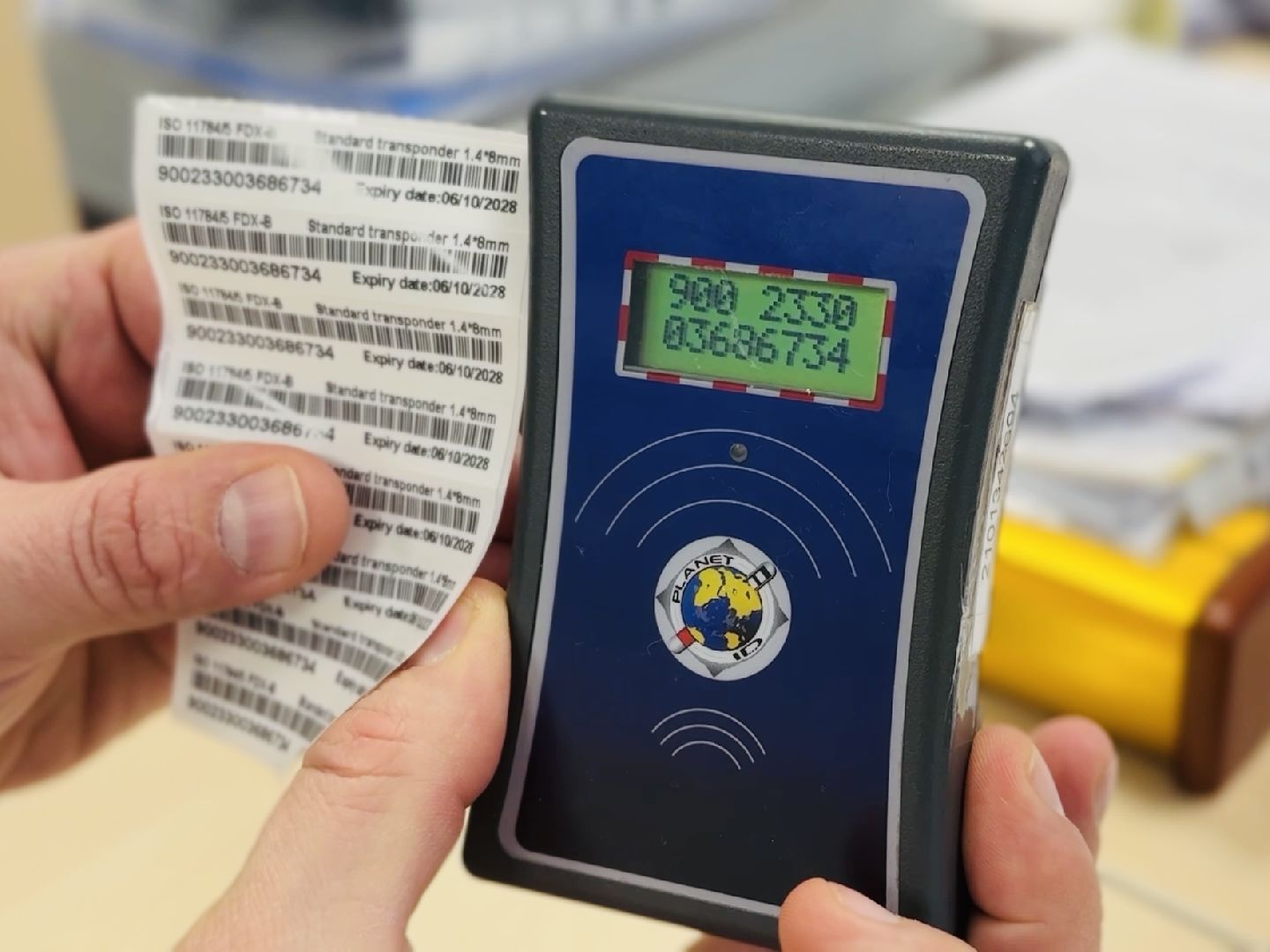 ветеринар, раменское, регистрация животных,