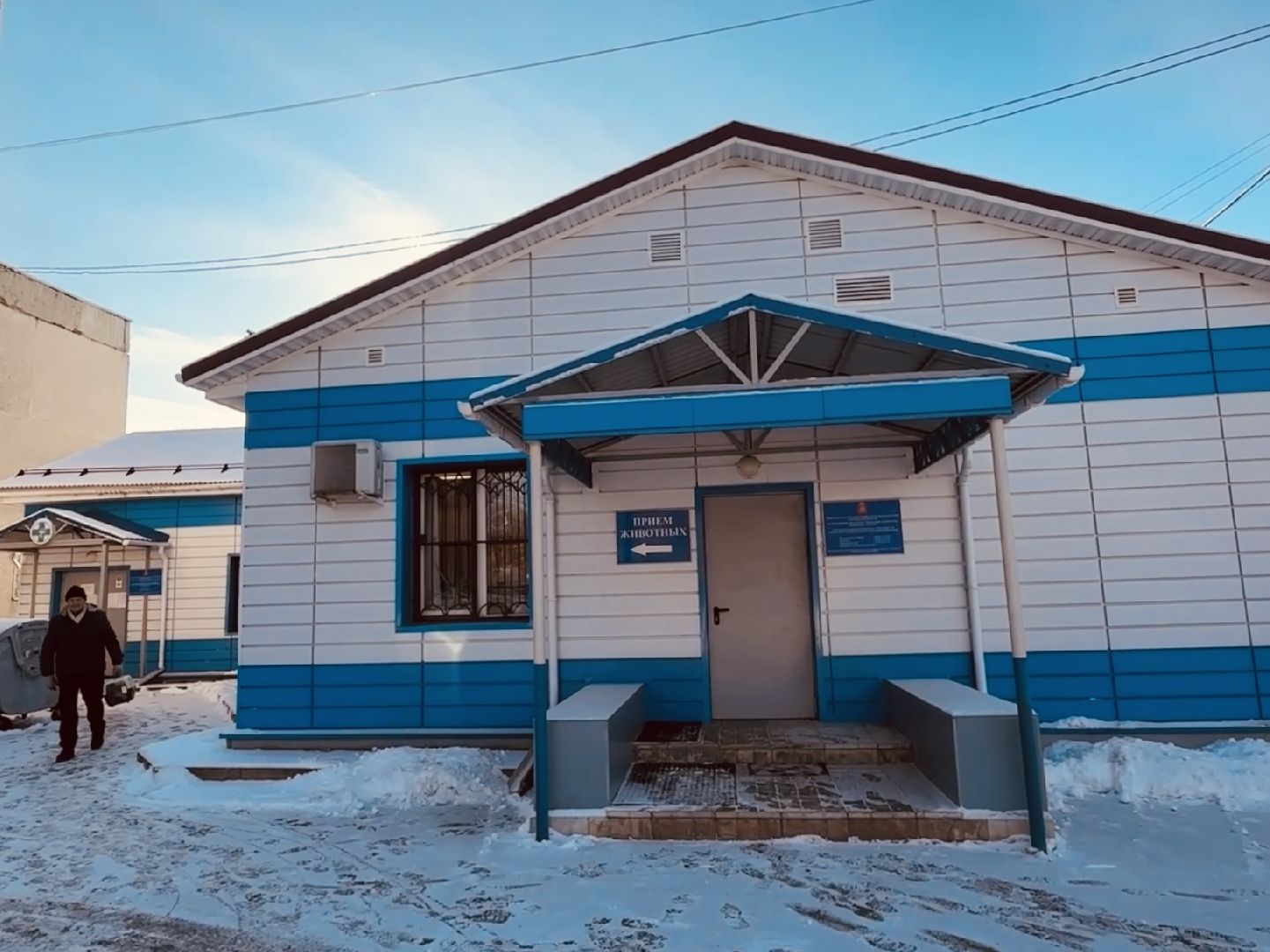 ветеринар, раменское, регистрация животных,