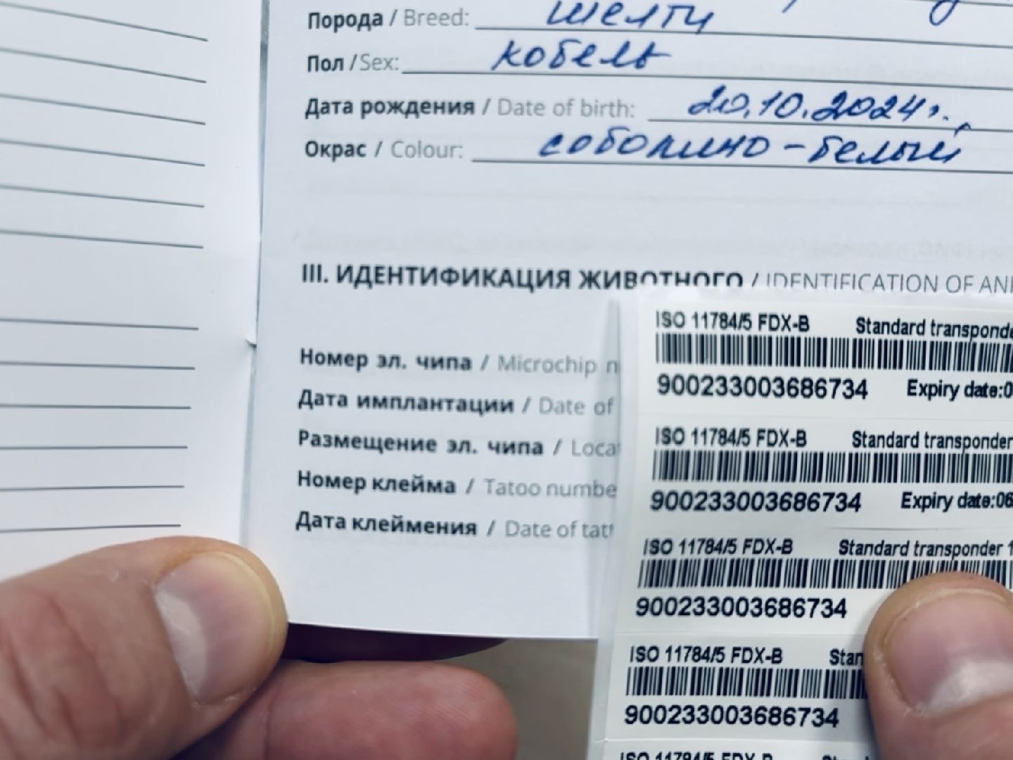 ветеринар, раменское, регистрация животных,