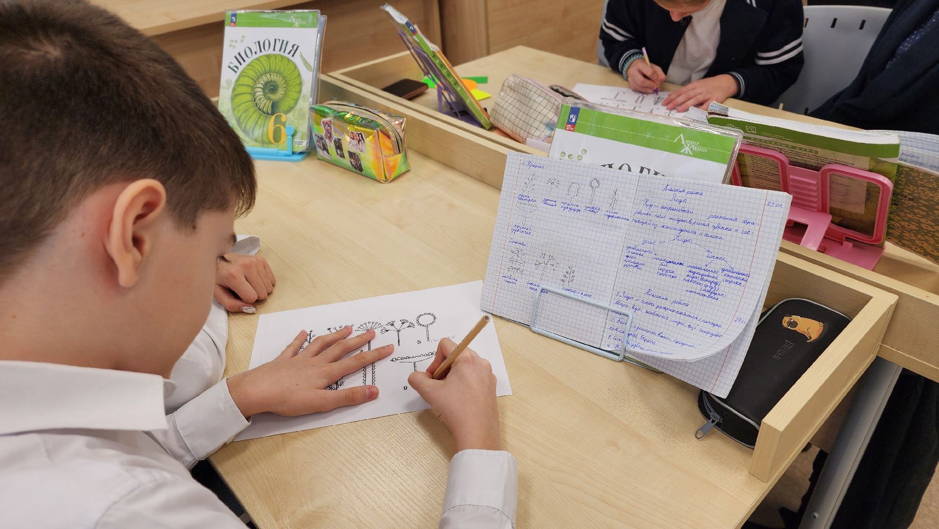 образование, Лучший учитель, Лосино-Петровский,