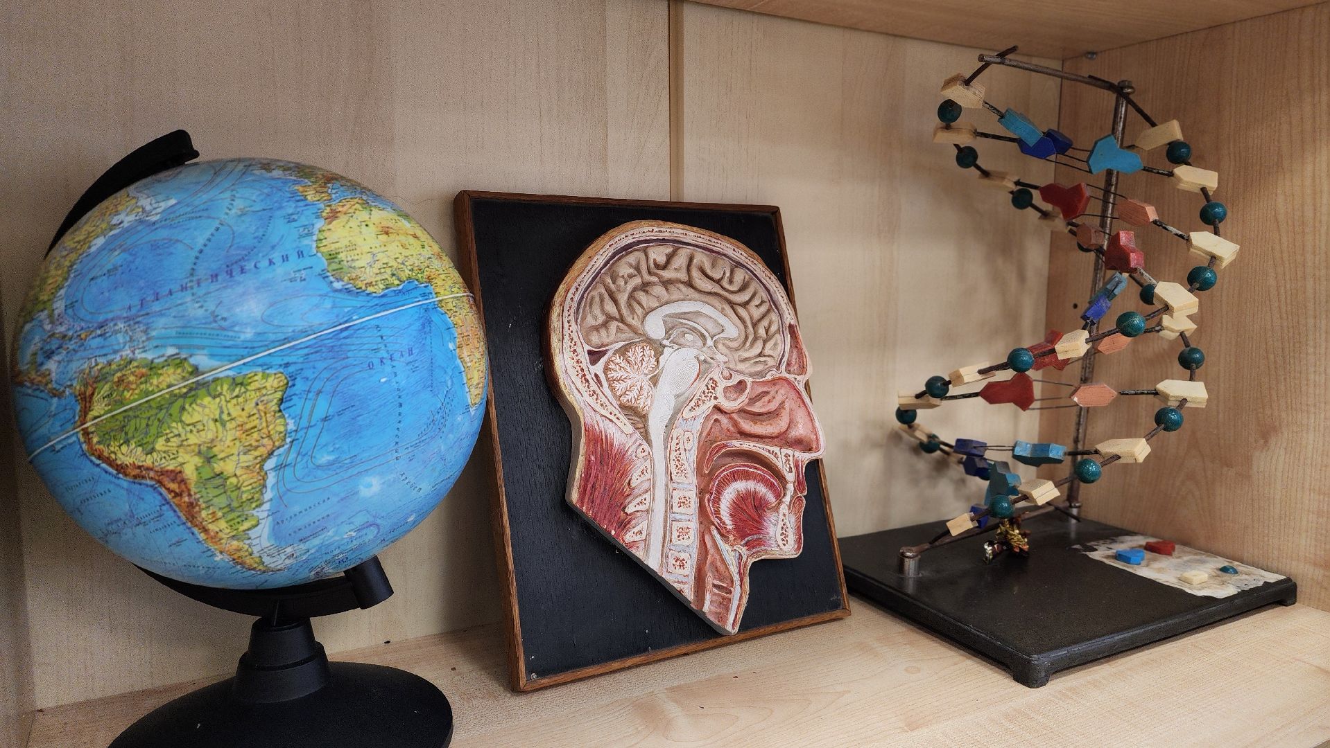 образование, Лучший учитель, Лосино-Петровский,